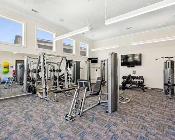 Photo Gallery Image