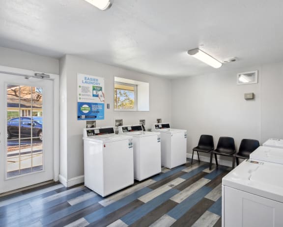 Photo Gallery Image