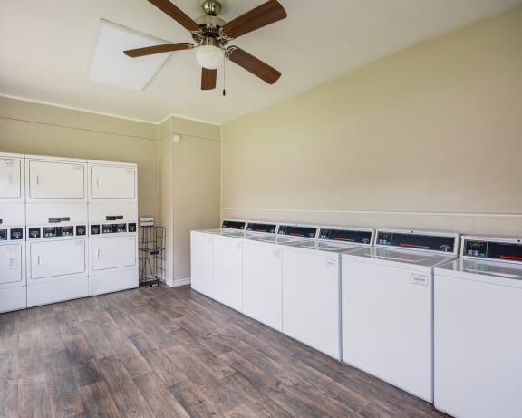 Photo Gallery Image
