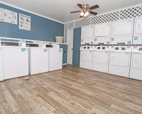 Photo Gallery Image