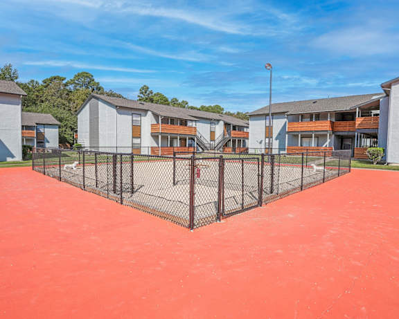 Photo Gallery Image