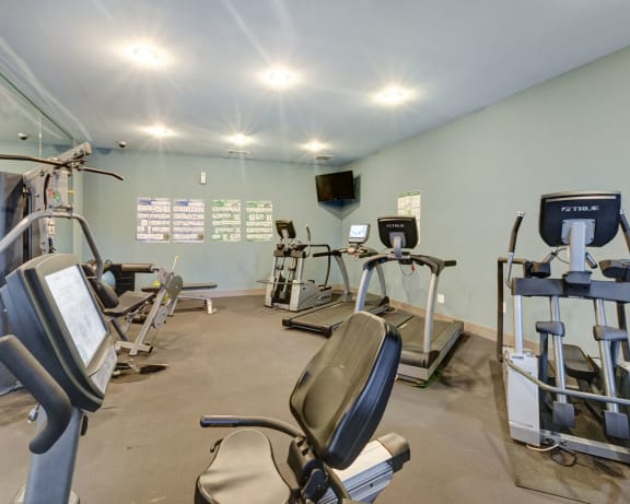 Photo Gallery Image
