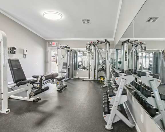 Photo Gallery Image