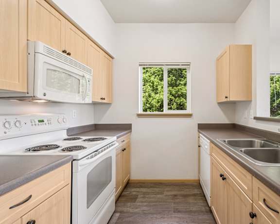 Photo Gallery Image