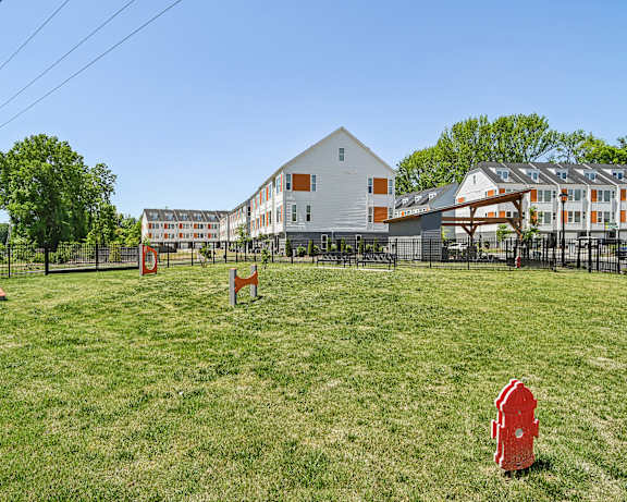 Photo Gallery Image