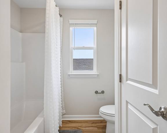 Photo Gallery Image