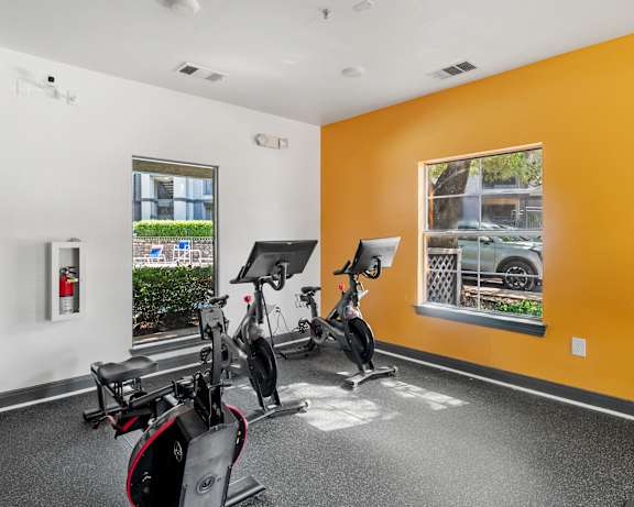 Photo Gallery Image