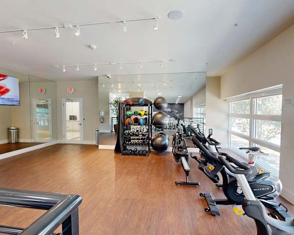 Photo Gallery Image