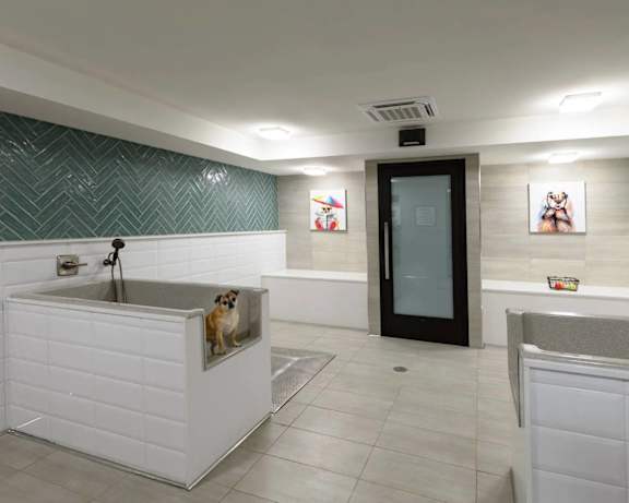 Photo Gallery Image