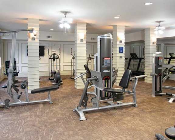 Photo Gallery Image