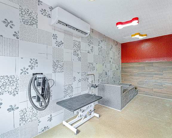 Photo Gallery Image