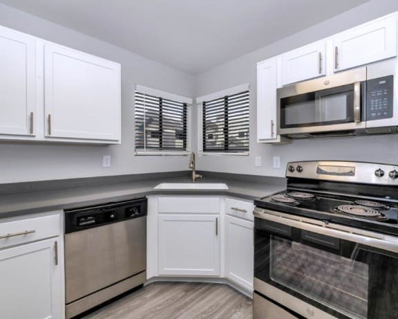 Photo Gallery Image