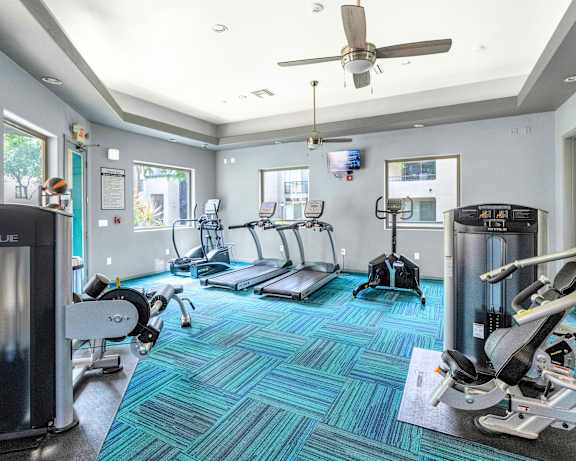 Photo Gallery Image