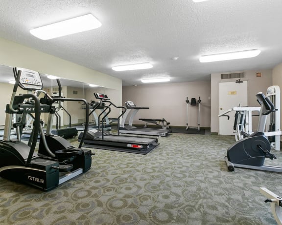 Photo Gallery Image