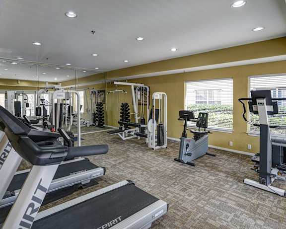 Photo Gallery Image