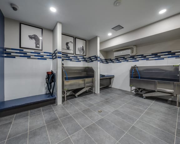 Photo Gallery Image