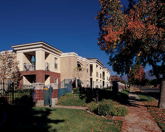 Photo Gallery Image