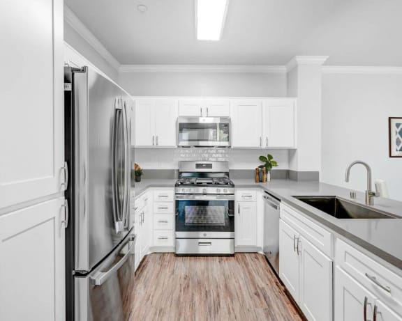 Photo Gallery Image