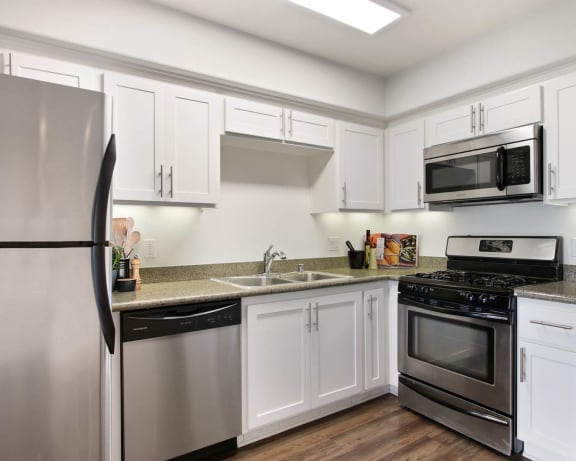 Photo Gallery Image
