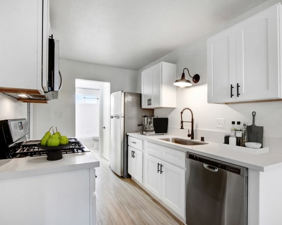 Photo Gallery Image