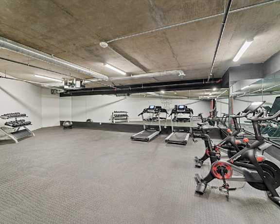 Photo Gallery Image