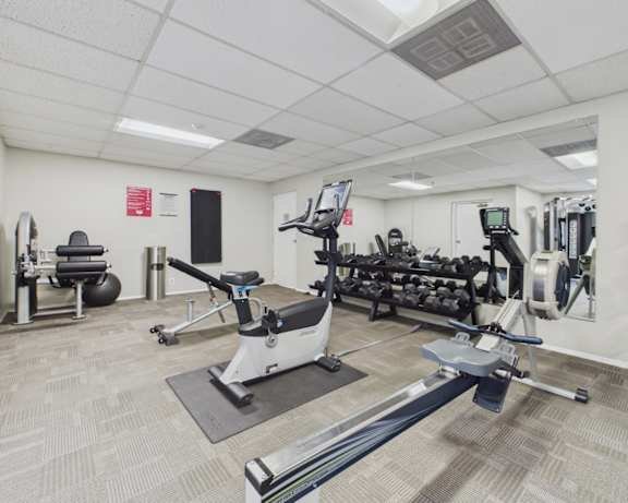 Photo Gallery Image