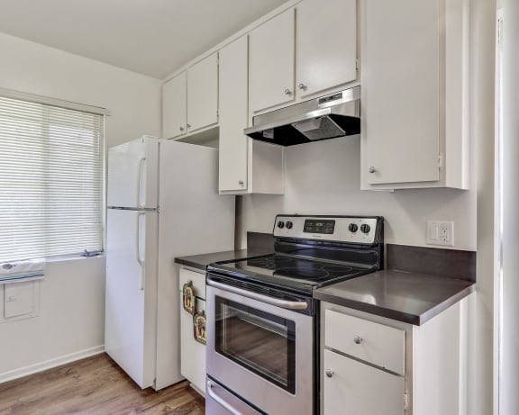 Photo Gallery Image