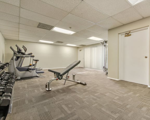Photo Gallery Image