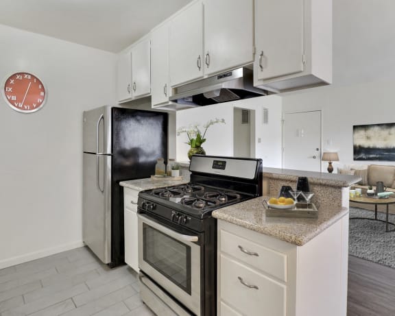 Photo Gallery Image