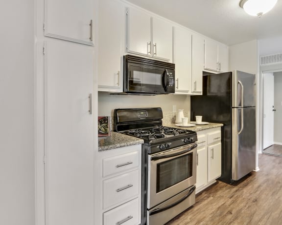 Photo Gallery Image