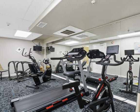Photo Gallery Image