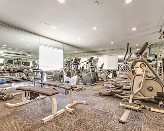 Photo Gallery Image