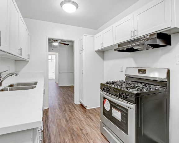 Photo Gallery Image