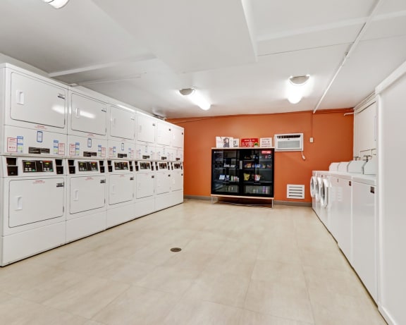 Photo Gallery Image