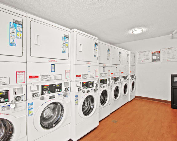 Photo Gallery Image