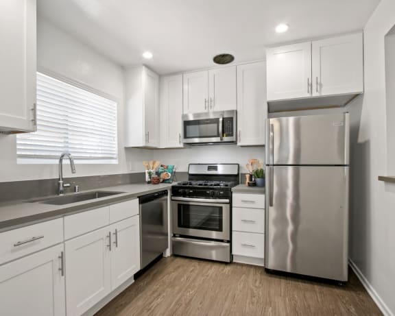 Photo Gallery Image