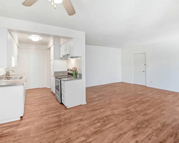 Photo Gallery Image