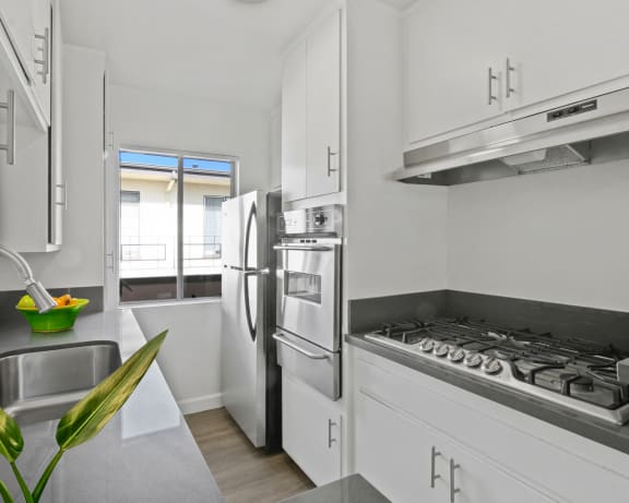 Photo Gallery Image