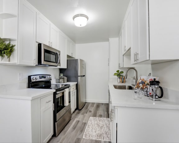Photo Gallery Image