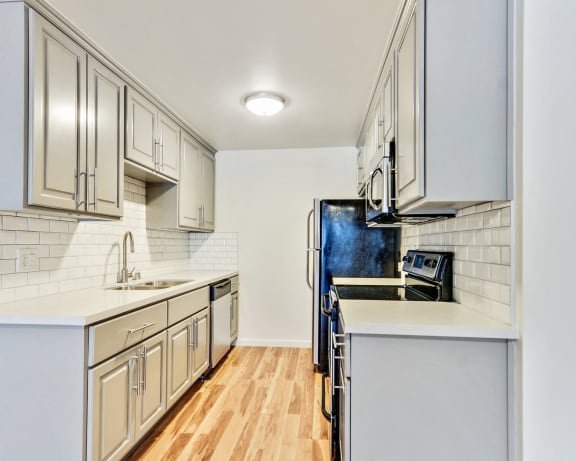 Photo Gallery Image