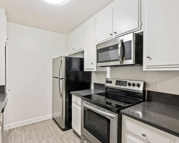 Photo Gallery Image