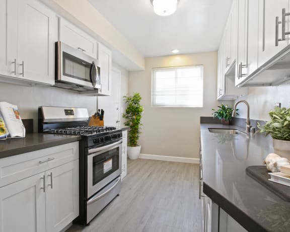 Photo Gallery Image