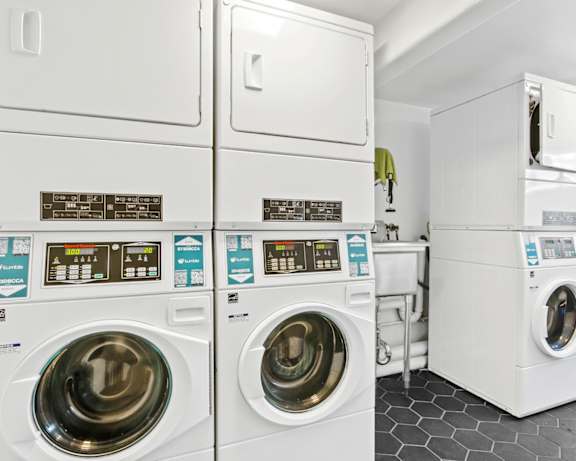 Photo Gallery Image