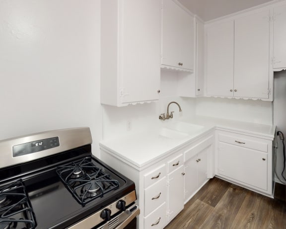 Photo Gallery Image