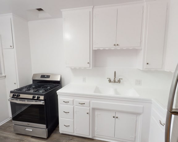Photo Gallery Image