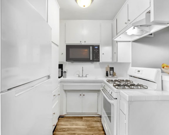 Photo Gallery Image