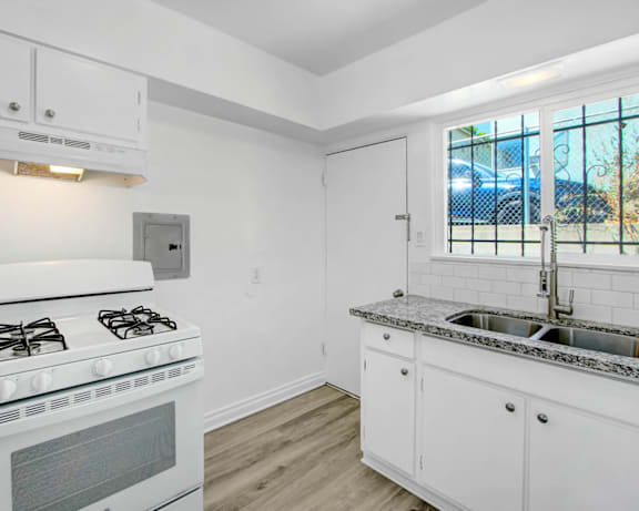 Photo Gallery Image