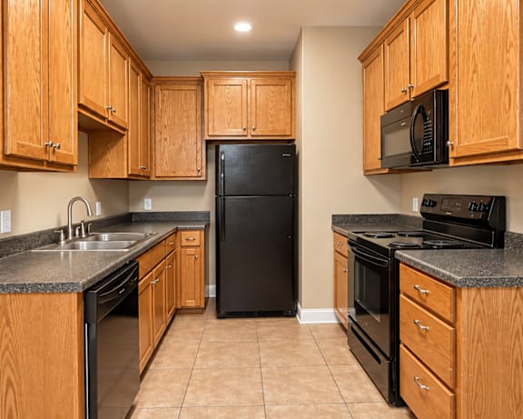 Photo Gallery Image