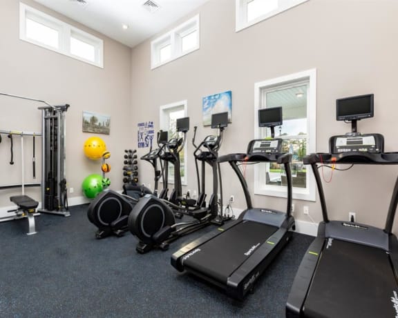 Photo Gallery Image