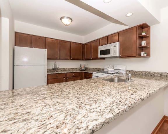 Photo Gallery Image